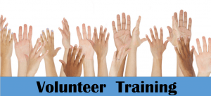 Summer Volunteer Training