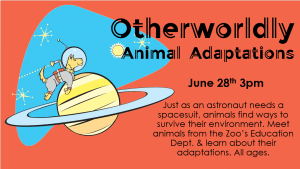 Otherworldly Animal Adaptations